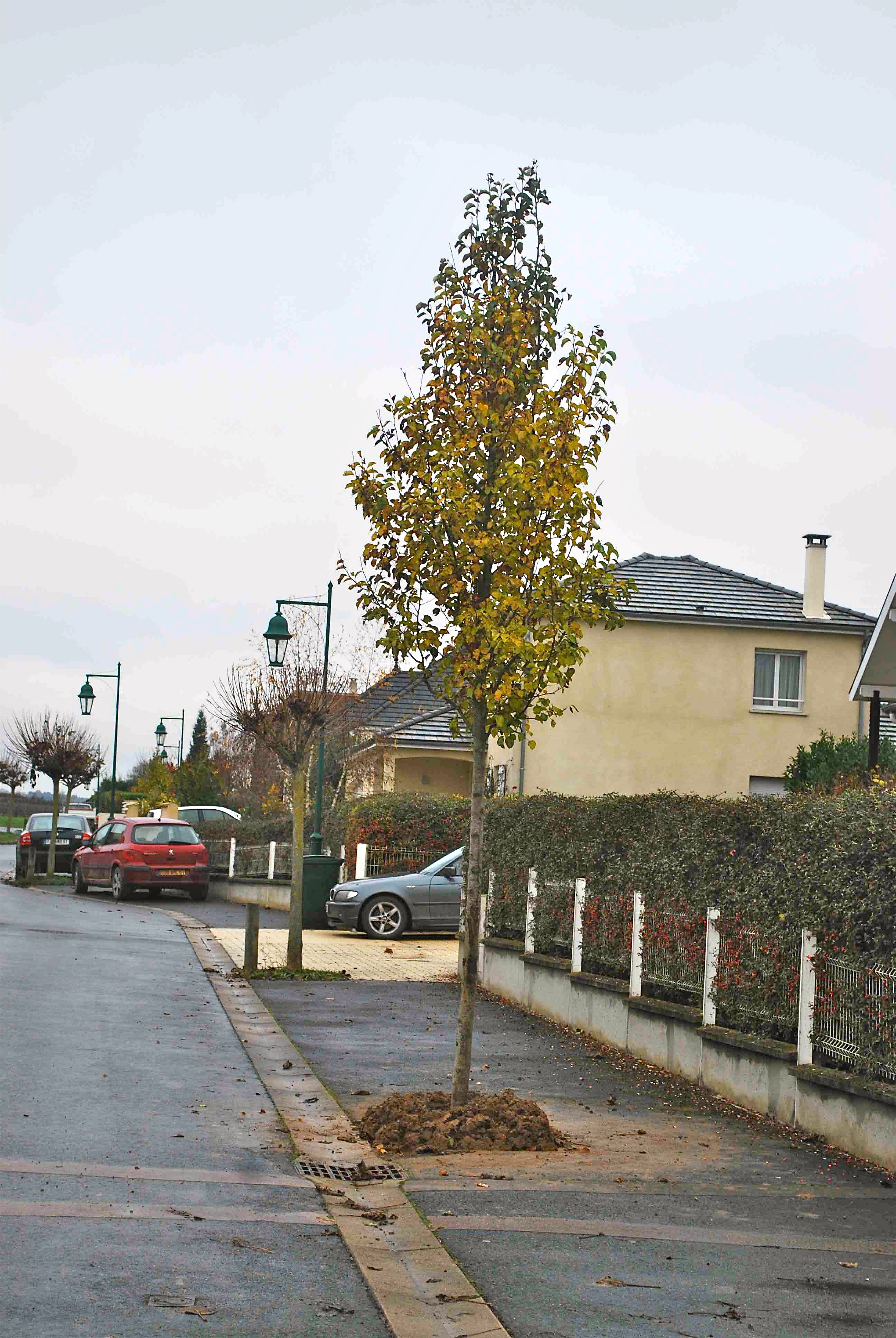 a